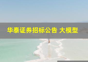 华泰证券招标公告 大模型